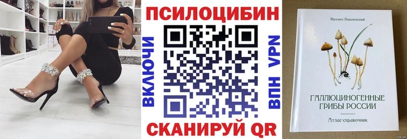 Галлюциногенные грибы GOLDEN TEACHER  наркота  Анива 